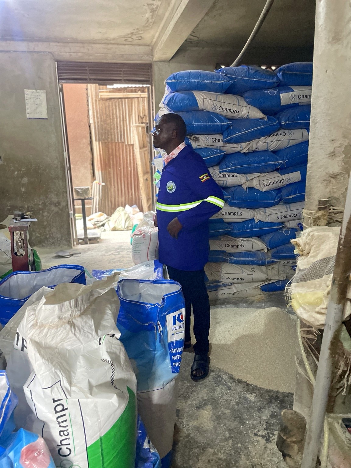 Inside the maize processing facility